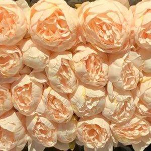 Meet your Posher, Jenny